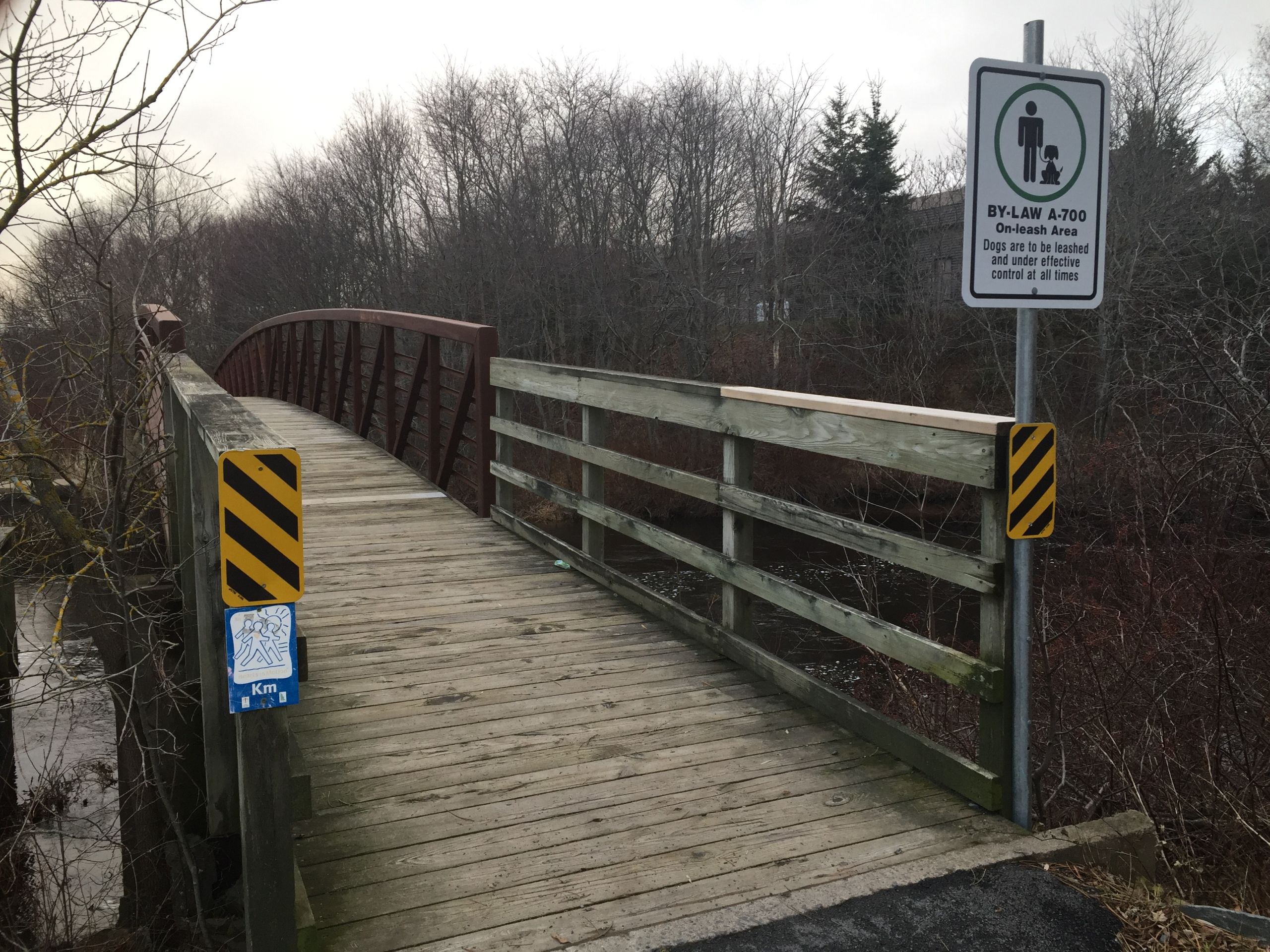 bridge