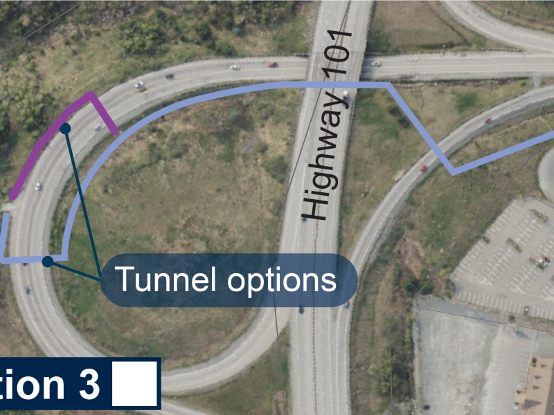 option 3.png