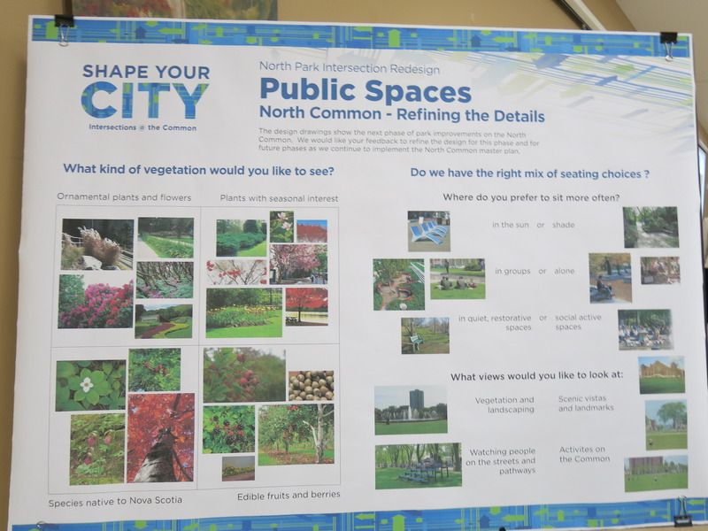 New Public Spaces, Community Engagement Feb 6 2014