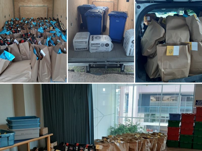 Gardening Packs ready for delivery!