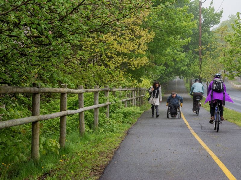 Pathway Image