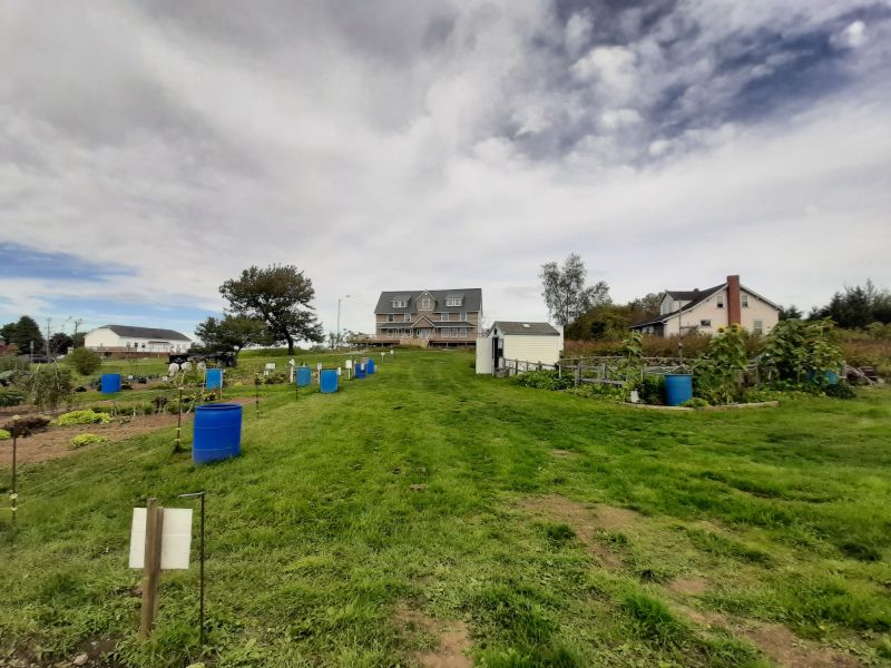 Community Garden, Old Home, Superintendent Cottage & Henry Bauld Centre